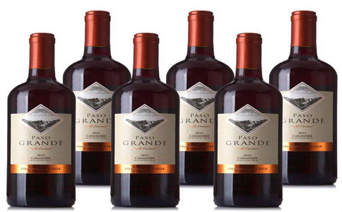5智利红酒s.jpg