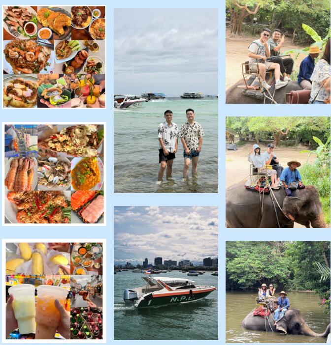鹏通进口物流
